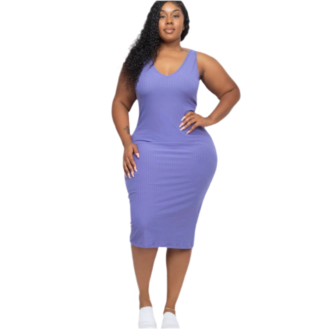 Plus Size Sleeveless Bodycon Dress