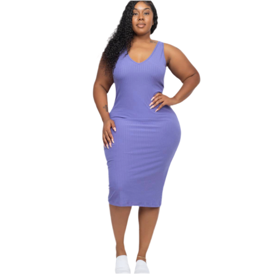 Plus Size Sleeveless Bodycon Dress